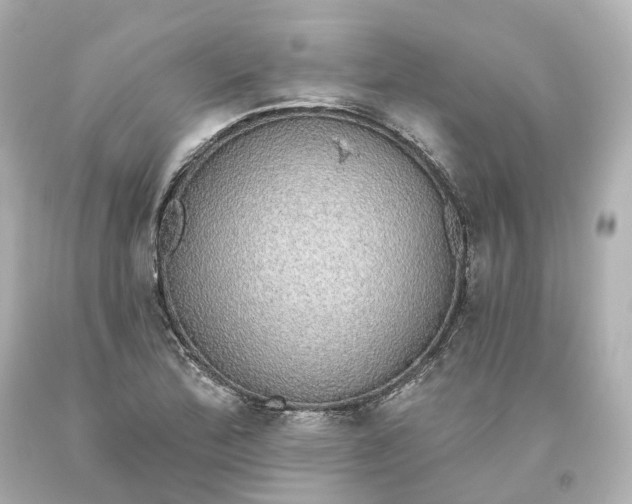 X0000093621172200710291219