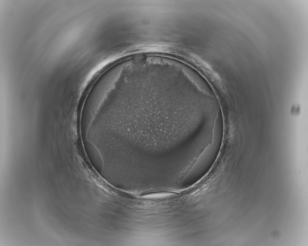X0000093621174200710291219