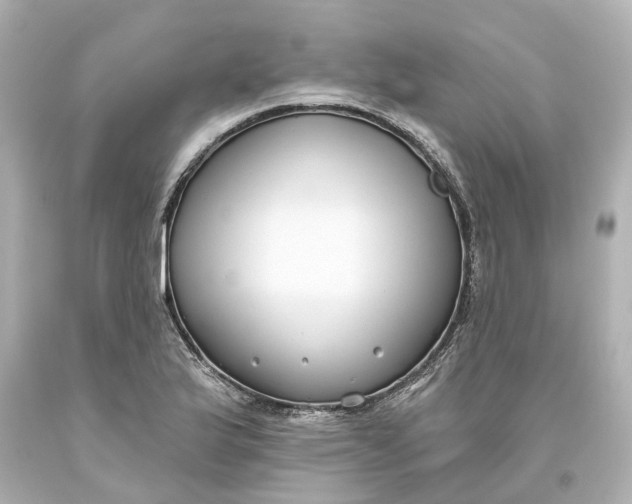 X0000093621175200710291219
