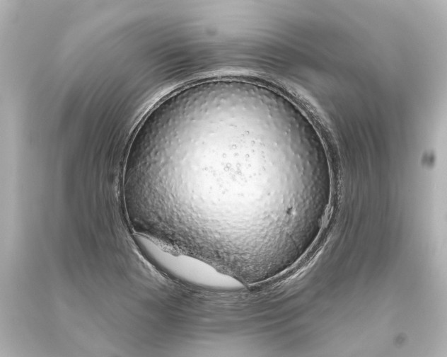 X0000093621177200710291219