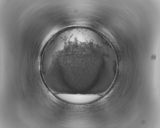 X0000093621180200710291219