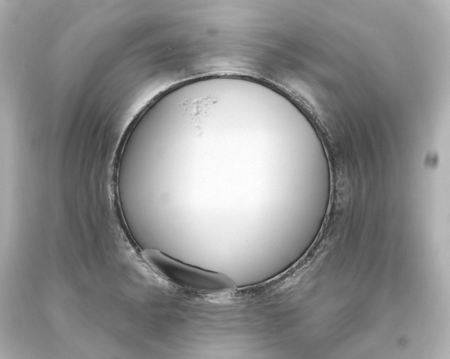 X0000093621182200710291219