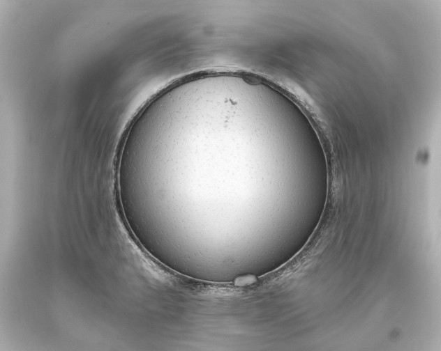 X0000093621183200710291219