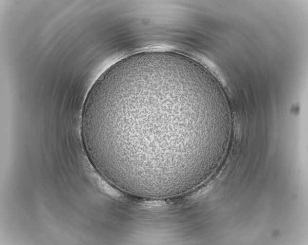 X0000093621186200710291219