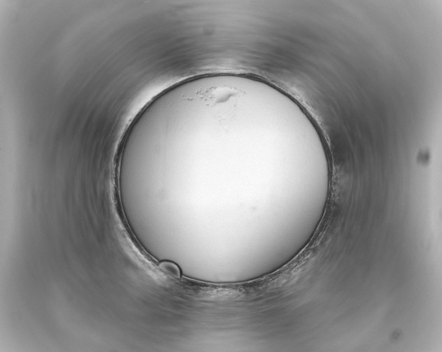 X0000093621187200710291219