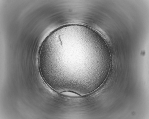 X0000093621188200710291219