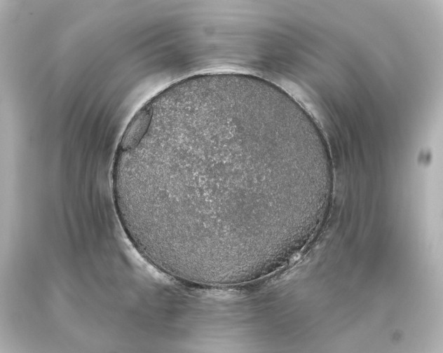 X0000093621189200710291219