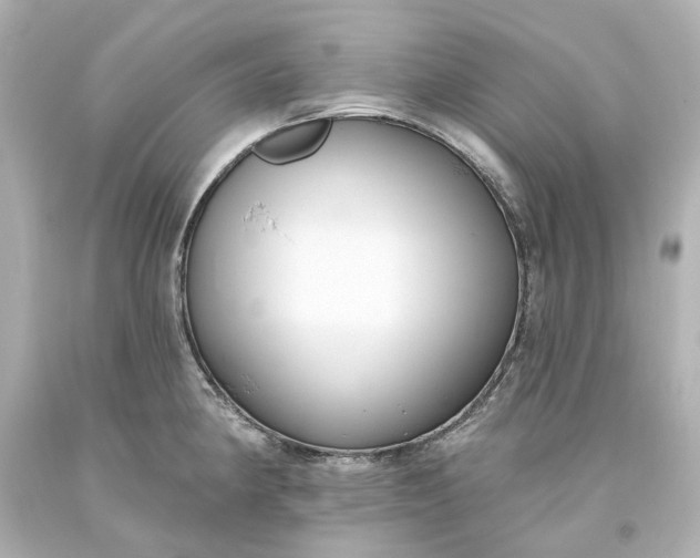 X0000093621190200710291219