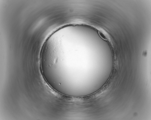 X0000093621191200710291219