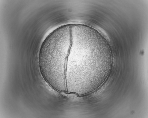 X0000093621192200710291219