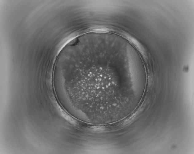 X0000093621194200710291219