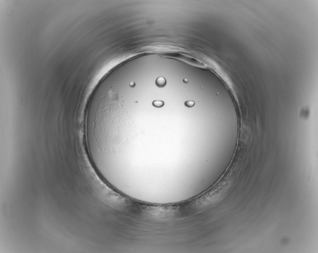 X0000093621195200710291219