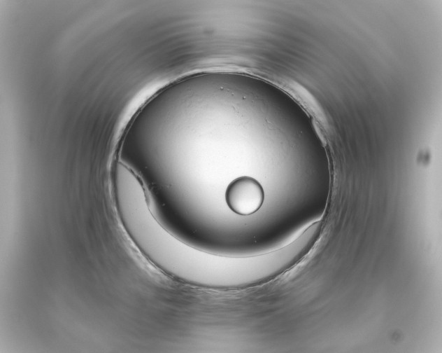 X0000093621196200710291219