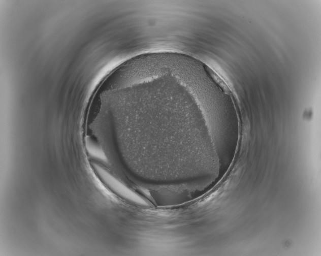 X0000093621197200710291219
