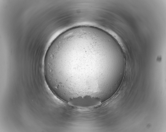 X0000093621199200710291219