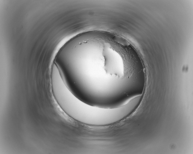 X0000093621200200710291219