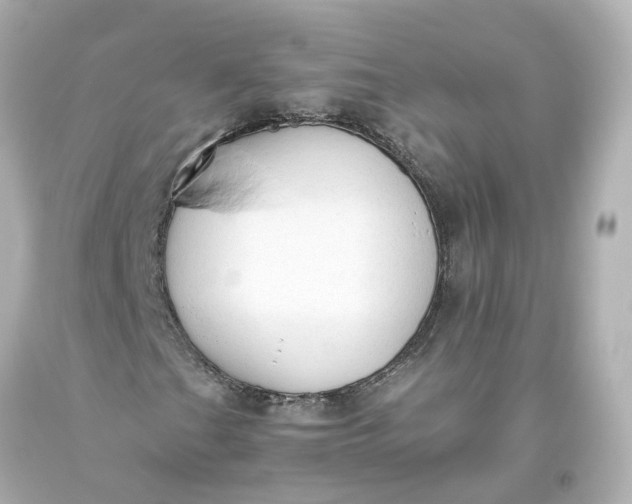 X0000093621201200710291219