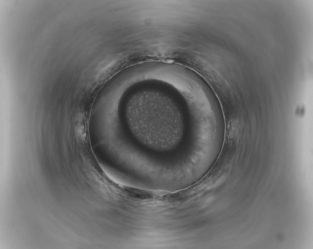 X0000093621202200710291219