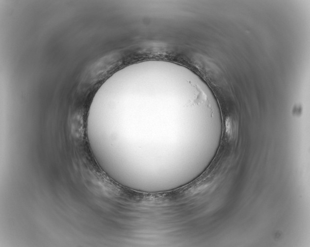 X0000093621203200710291219