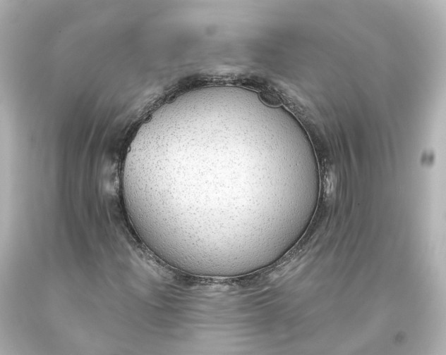 X0000093621204200710291219