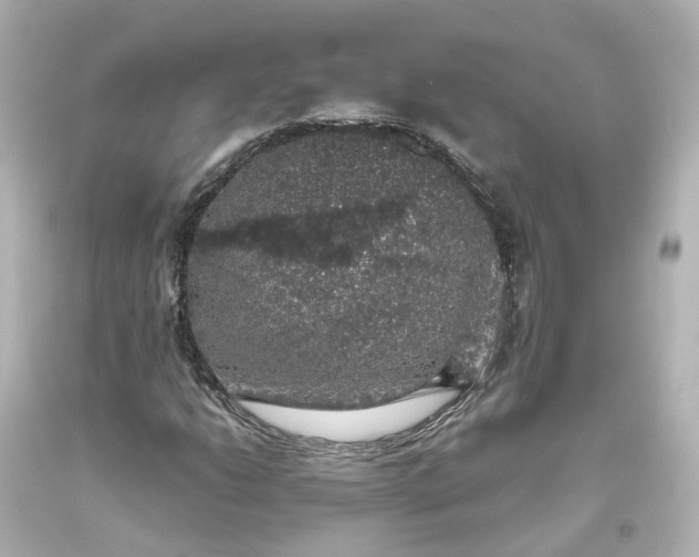 X0000093621206200710291219