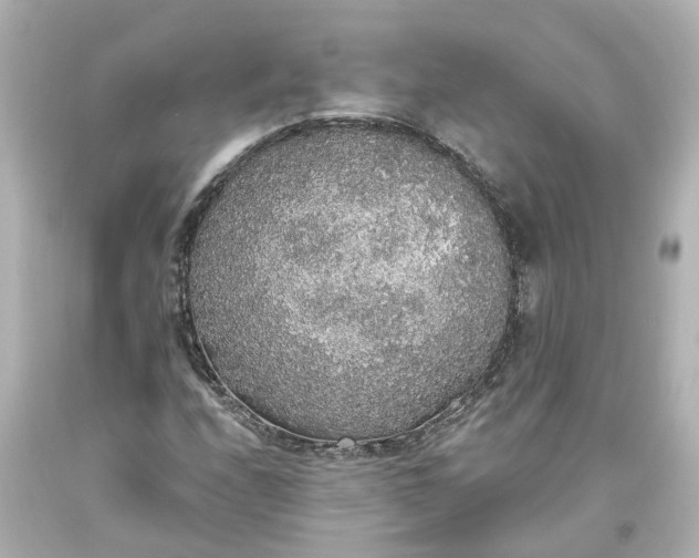 X0000093621208200710291219
