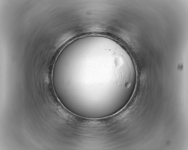 X0000093621209200710291219