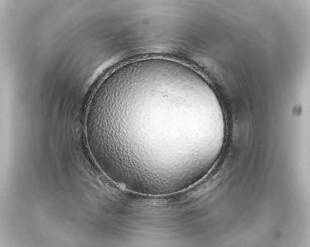 X0000093621210200710291219
