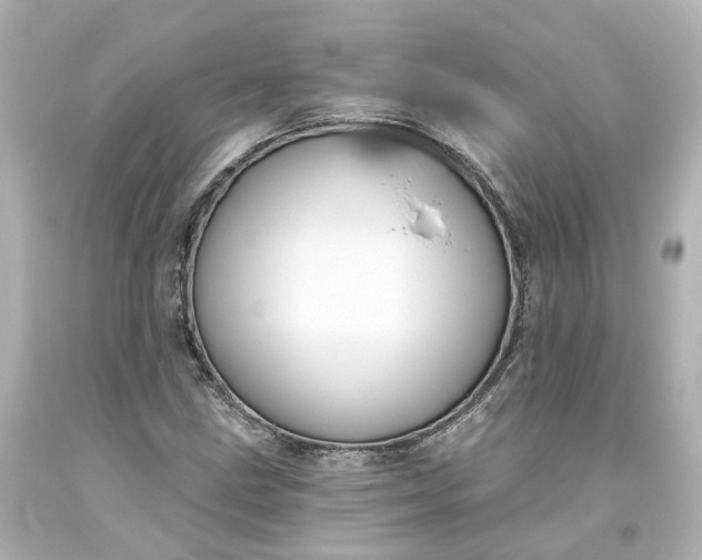 X0000093621211200710291219