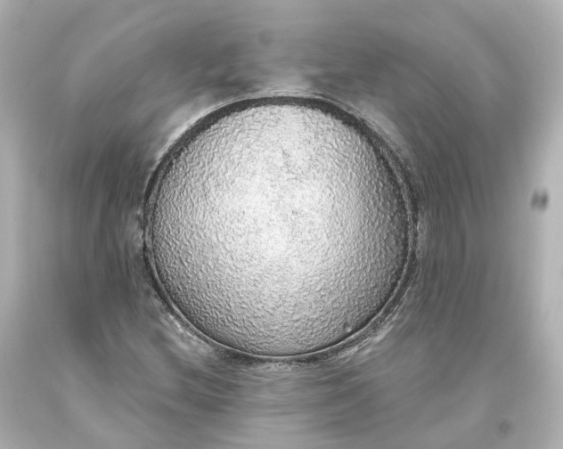 X0000093621212200710291219