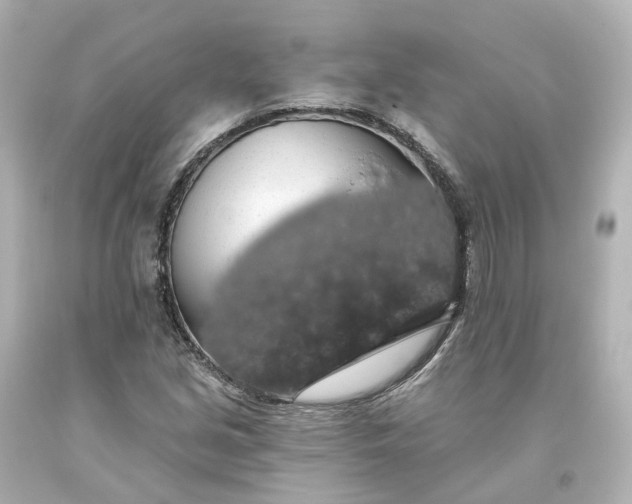 X0000093621213200710291219