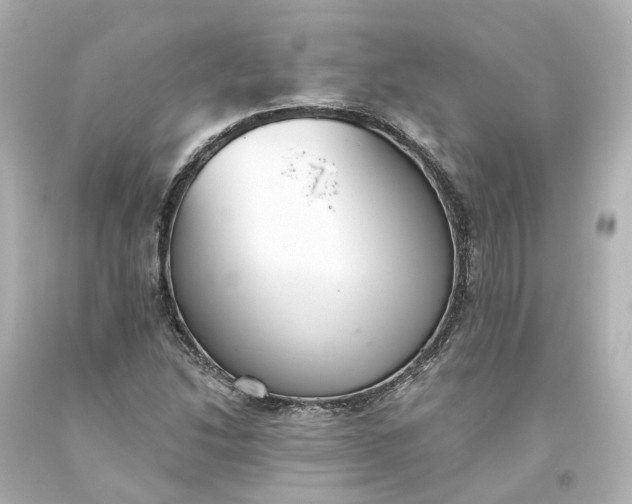 X0000093621214200710291219