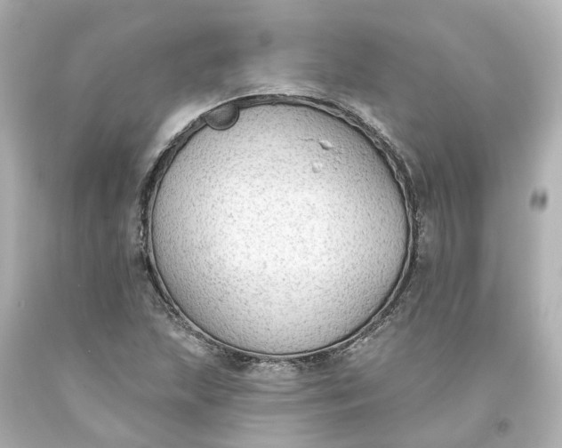 X0000093621215200710291219