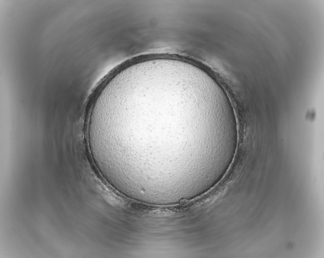 X0000093621216200710291219