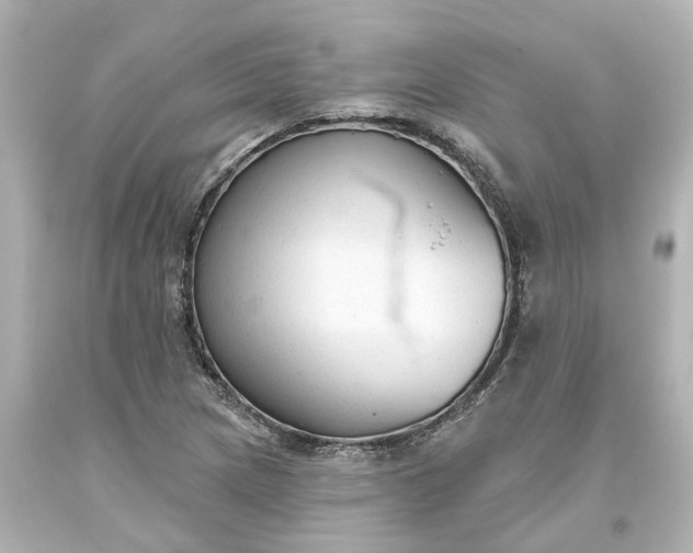 X0000093621217200710291219