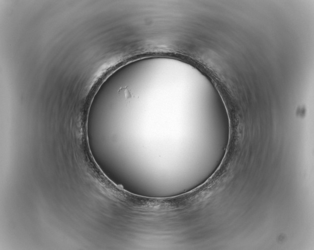 X0000093621218200710291219
