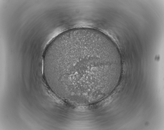 X0000093621219200710291219