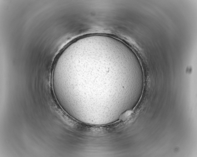 X0000093621220200710291219
