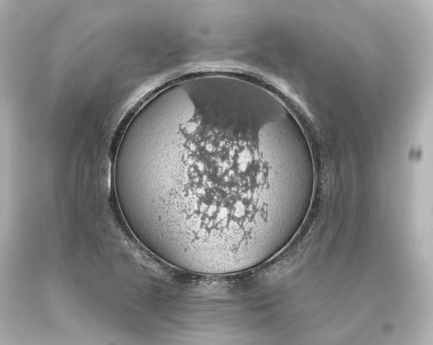 X0000093621221200710291219