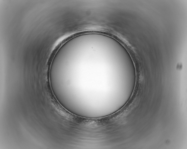 X0000093621222200710291219