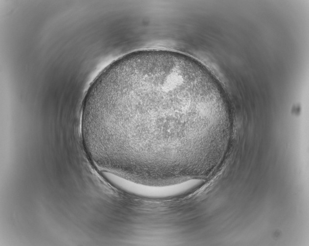 X0000093621224200710291219