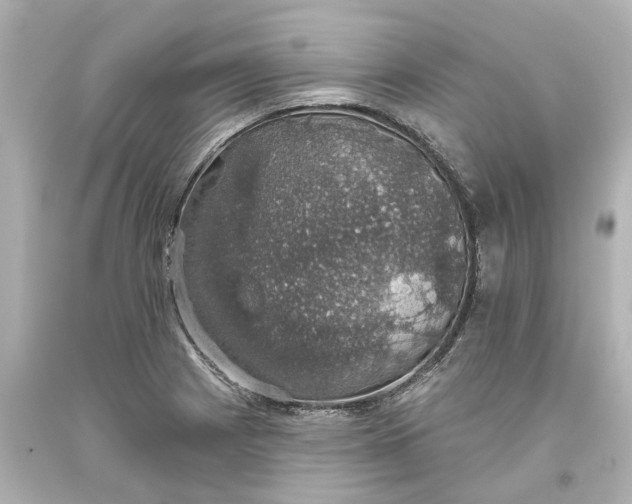 X0000093621225200710291219