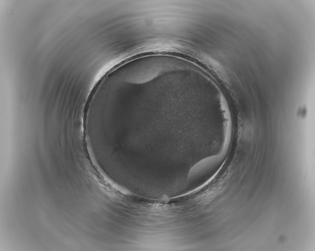 X0000093621226200710291219