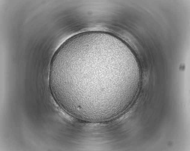 X0000093621228200710291219