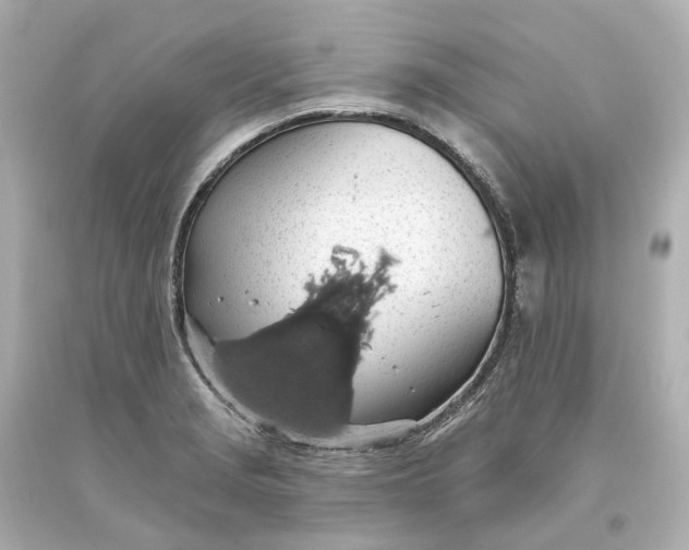 X0000093621229200710291219