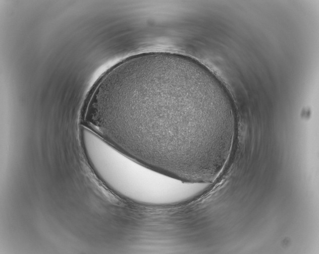 X0000093621230200710291219