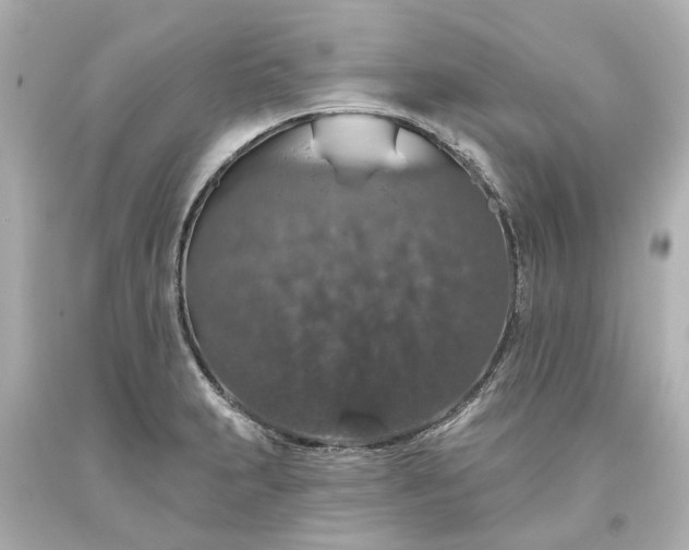X0000093621231200710291219