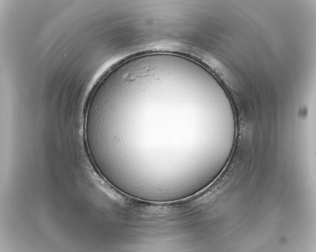 X0000093621232200710291219