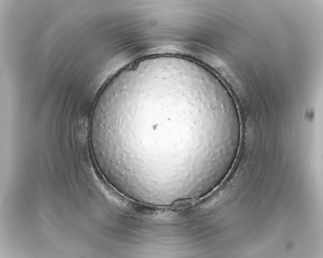 X0000093621233200710291219