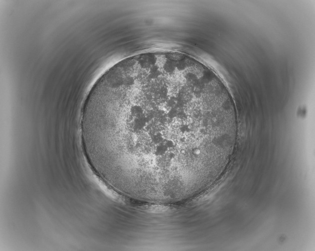 X0000093621235200710291219